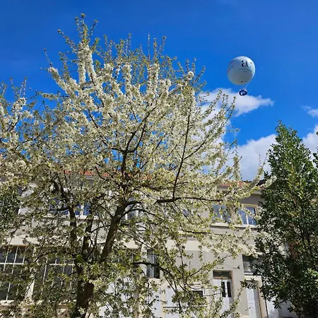 Metamorphose Champenoise דירה *